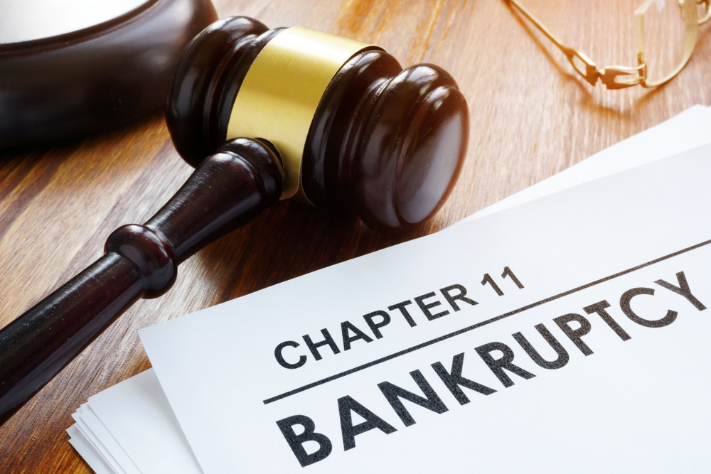 What are the common types of bankruptcy I can file?