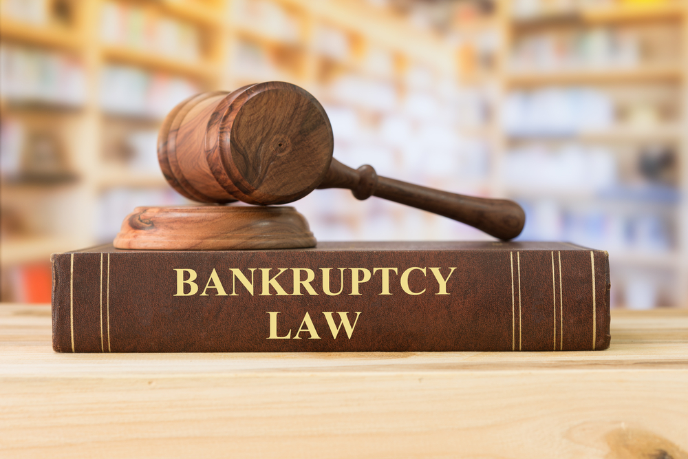 What are the common types of bankruptcy I can file?