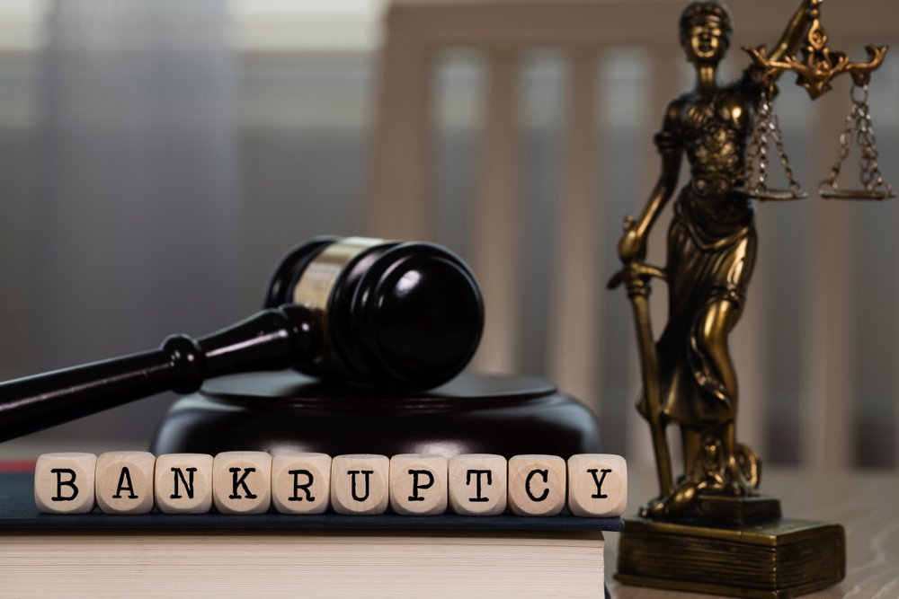 What terms should I be familiar with concerning bankruptcy?